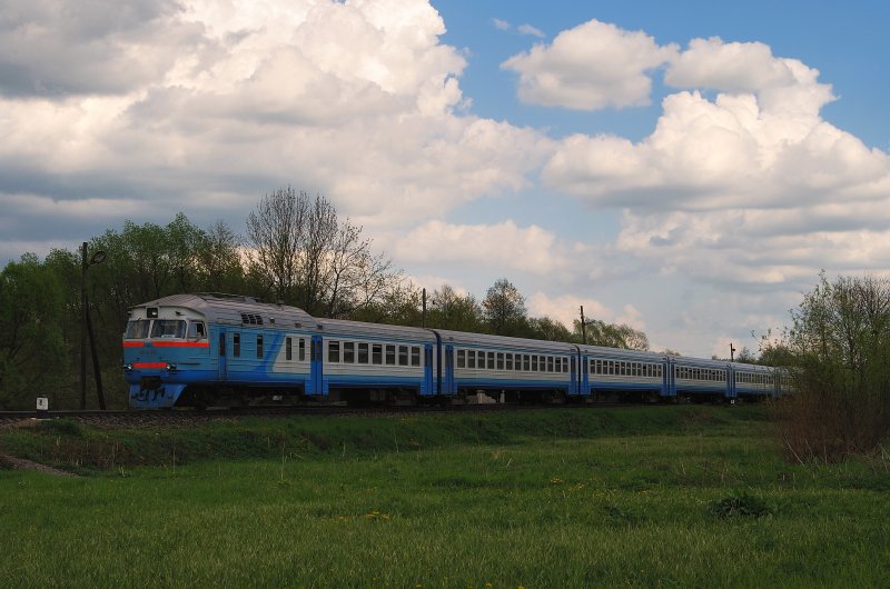DR1a - 215 mit dem 865 vor der Hst 'km 22' bei Davidiv (30.04.2008)