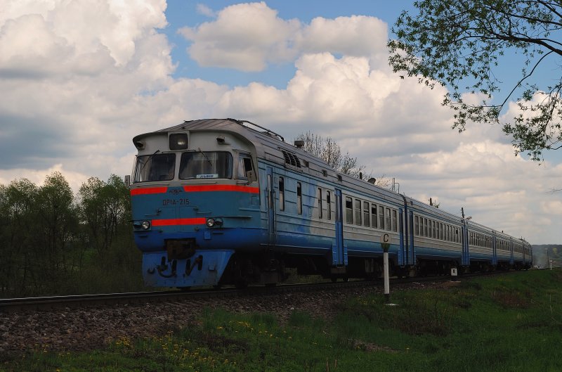 DR1a - 215 mit dem 865 bei der Hst 'km 22' vor Davidiv (30.04.2008)