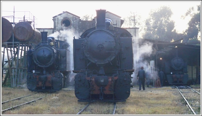 Drei Malletloks unter Dampf 442.54, 442.55 und 440.008 vor dem Depot Asmara. Die 442.59 befand sich zu diesem Zeitpunkt bereits in Nefasit. (29.10.2008)