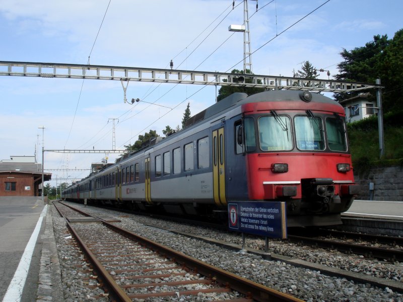 Drei RABDe 510 bei Herrliberg-Feldmeilen am 3.09.2007