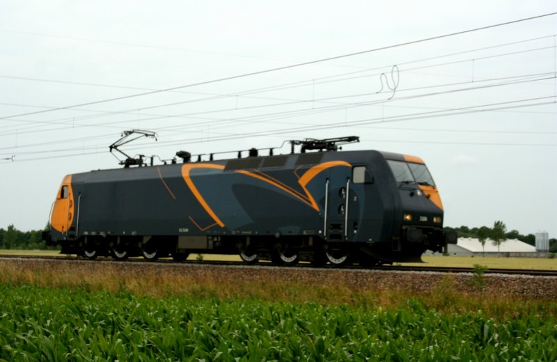 DSB EG 3106 bei berfhrungsfahrt am 29.6.2008 bei Rdekro.