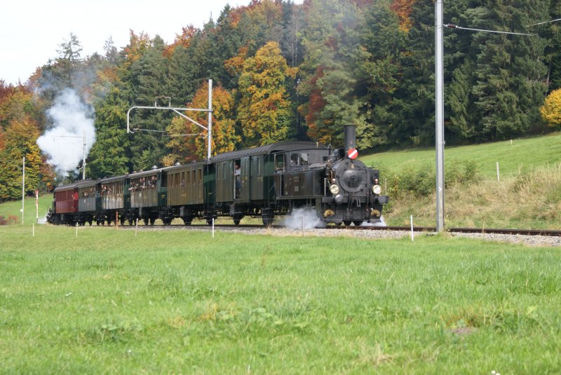 DVZO-Dampfzug mit Ed 3/3 4 und E 3/3 10 am 12.10.08 in Ettenhausen.