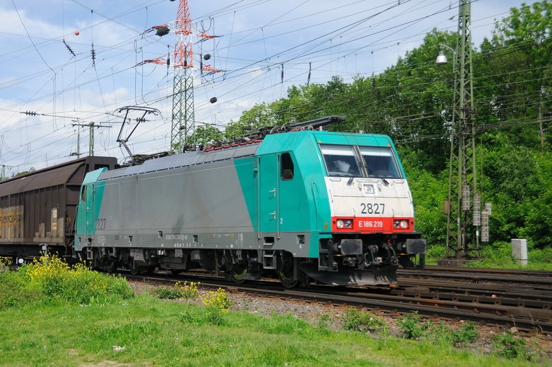 E 186 219 (2827), jetzt in Eigentum der SNCB, frher ATC (Angeltrain), vor einem Habbillns-/Habbins-Ganzzug bei Einfahrt Gremberg Gbf, von der Sdbrcke kommend. Diese scherzhaft  belgischen Seehunde  genannten Loks sind tglicher Gast im Gbf. (19.05.2009).