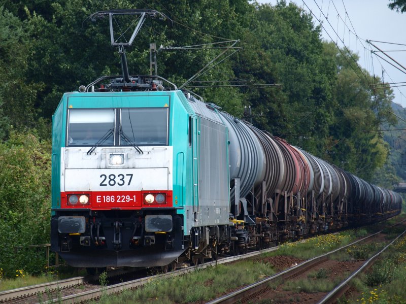 E 186 229-1 zieht einen leeren lzug die Rampe von Aachen West zum Gemmenicher Tunnel rauf. 