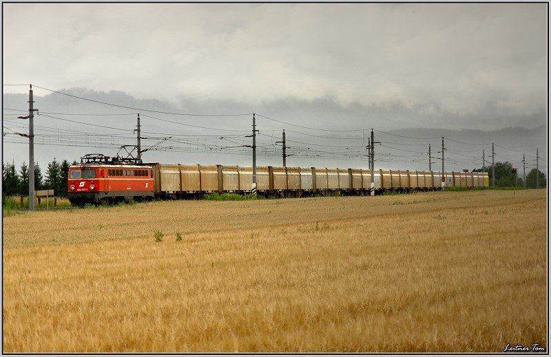 E-Lok 1042 007 fhrt mit einem Hackschnitzel-Leerzug von Zeltweg in Richtung Knittelfeld.
Lind 18.07.2008