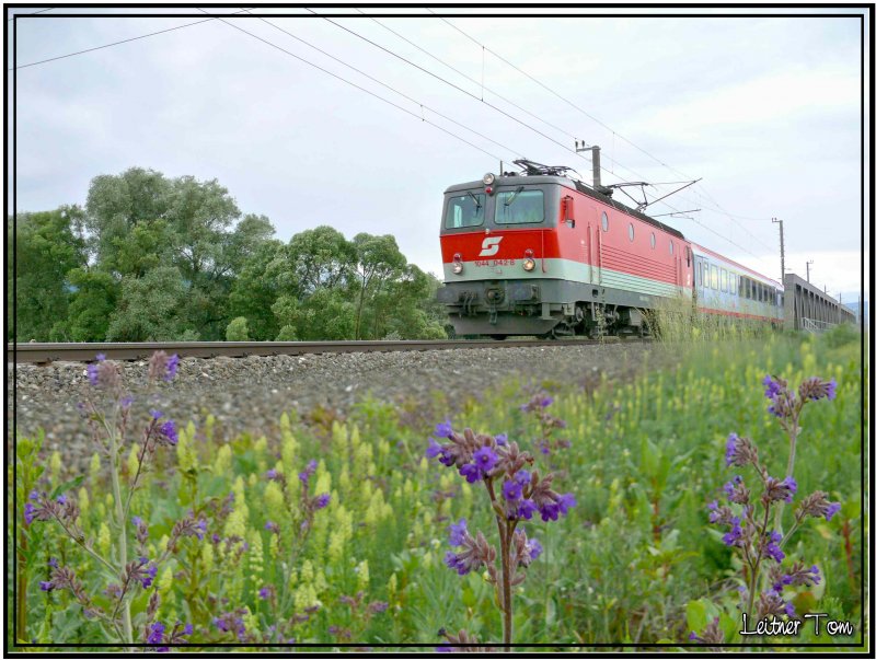 E-Lok 1044 042 bespannt den EC 536 Jacques Lemans von Villach nach Wien.
Knittelfeld am 2.6.2007
