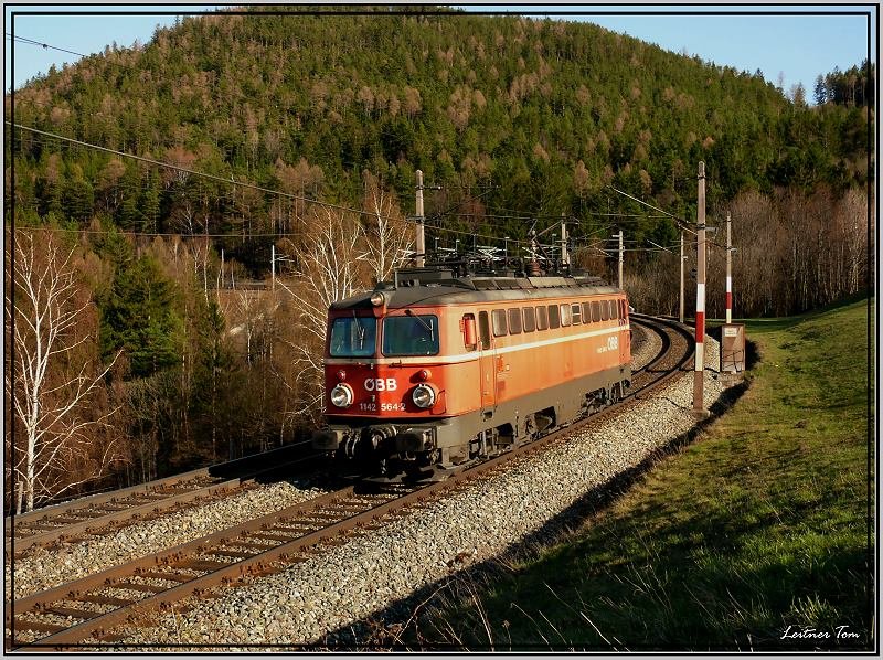 E-Lok 1142 564 fhrt als Lokzug ber den Semmering nach Gloggnitz.
Apfelwiese bei Eichberg 30.03.2008