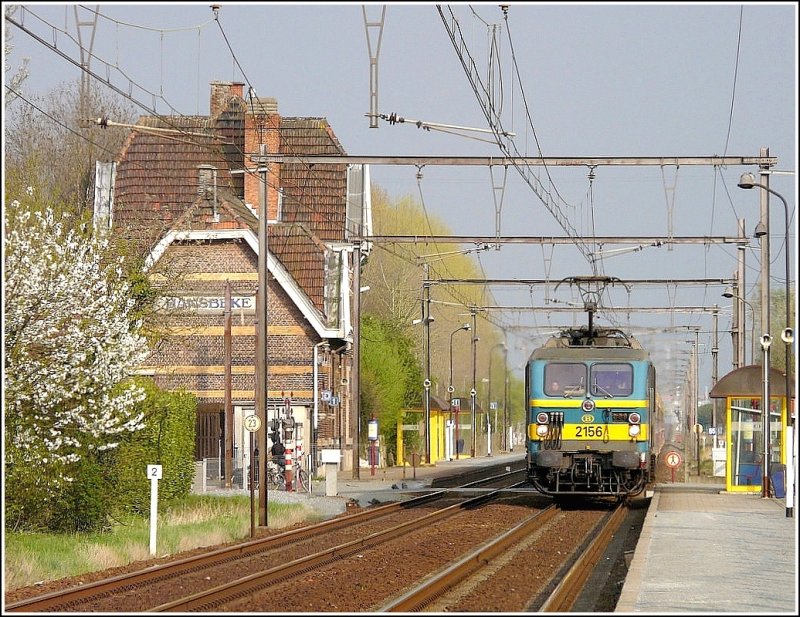 E-Lok 2156 erreicht am 10.04.09 mit ihrem P Zug den schnen Backsteinbahnhof von Hansbeke. (Jeanny)