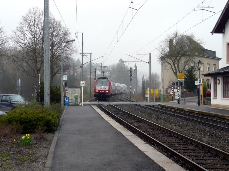 E-Lok 4020 n�hert sich dem Bahnhof von Wilwerwiltz am 05.04.08. Neben dem Bahnsteig sieht man einige Narzissen, welche hier eine besondere Bedeutung haben. Befindet sich doch in der N�he von Wilwerwiltz, im sogenannten  Lohr , das einzige Vorkommen von wilden Narzissen (luxemburgisch:  Lohrblumm ) in Luxemburg. 