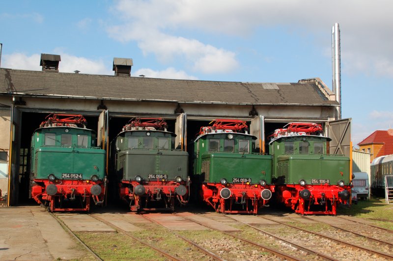 E-Lok-Parade vor dem Lokschuppen des ehem. Bw Weimar(13.Eisenbahnfest in Weimar im Oktober 2007)