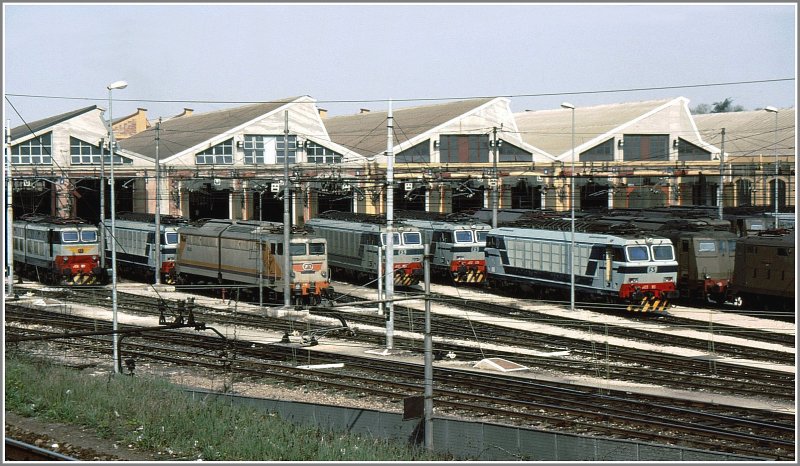 E655, E633 und E636 verient vor dem Lokdepot in Milano Centrale. (Archiv 03/90)