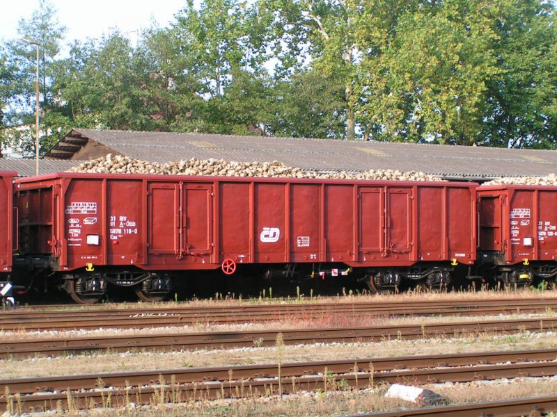 Eas (318115978119-0) randvoll beladen mit Zckerrben (Bhf. RIED i.I. 2006-09-29)