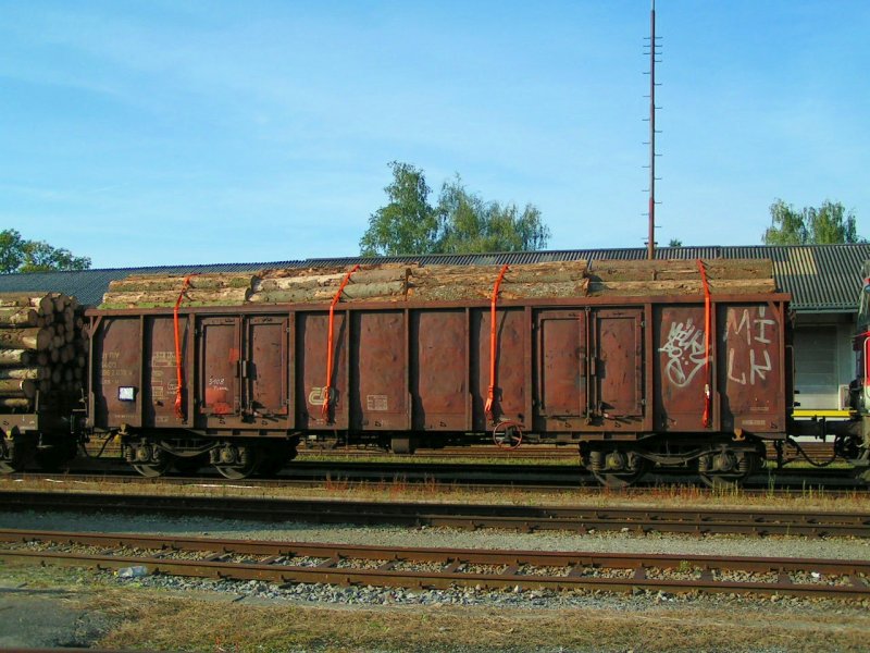 Eas-u(CD)31545962638-0 beladen mit Rundholzstmmen, Bhf. RIED i.I. 2006-09-20