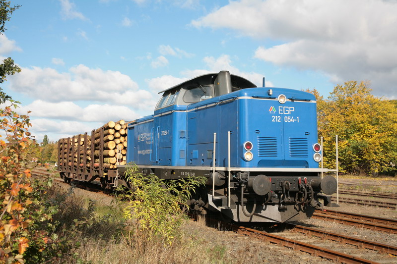EGP 212 054 holt heute nur einen Holzwaggon von Hagenow ab. 14.10.2009 