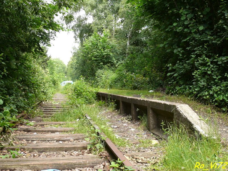 Ehem. Haltepunkt Witten-Sonnenschein (km 4,90) an der ehem. Strecke Dortmund-Lttringhausen - Bochum-Langendreer. Witten-Sonnenschein, 15.06.2008.