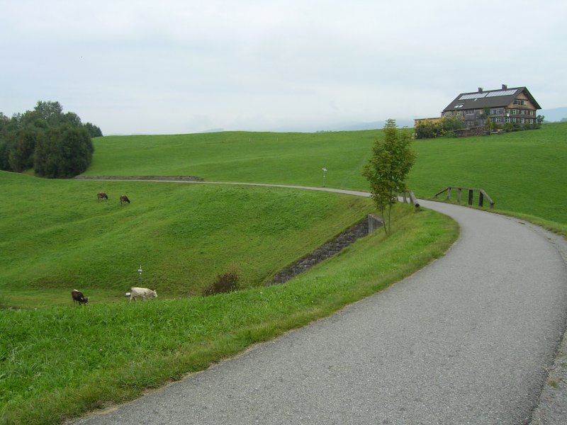 ehemalige Bregenzerwaldbahn, ca. bei km 25,5. Hier wieder ein Bild der ehemaligen Trasse. Wie man sieht, eine absolut runde Kurve, die so einfach nur bei Bahntrassen vorkommt. Das sieht man auch noch heute am Radweg. Die Trasse fhrt hier direkt durch verschiedene Weiden.
