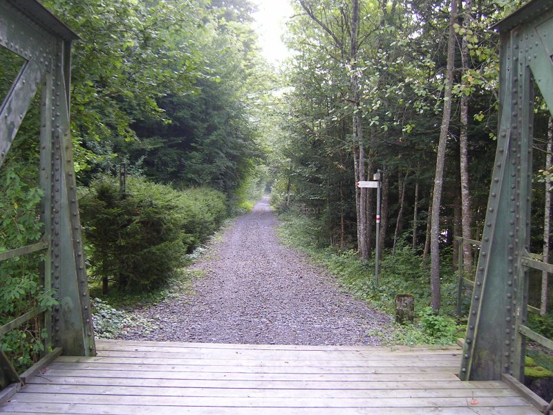 ehemalige Bregenzerwaldbahn, ehemalige Haltestelle Weissachbrcke bei km 15. Sicht von der Stahlfachwerkbrcke aus dem Jahr 1901 in Richtung Bezau. Auf der Trasse ist heute ein Wanderweg. Wo frher die Loks rumpelten, ist es heute unglaublich idyllisch und ruhig. Rechts vorne erkennt man den km - Stein 15,1   28.8.2008