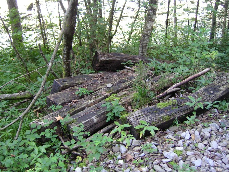 ehemalige Bregenzerwaldbahn, irgendwo zwischen km 21 und km 23. Entlang der Strecke zwischen den Bahnhfen Lingenau-Hittisau und Egg finden sich immer wieder solche Haufen mit Schwellen der Strecke, die auch 27 Jahre nach Stillegung immer noch existieren und oft in erstaunlich gutem Zustand sind.