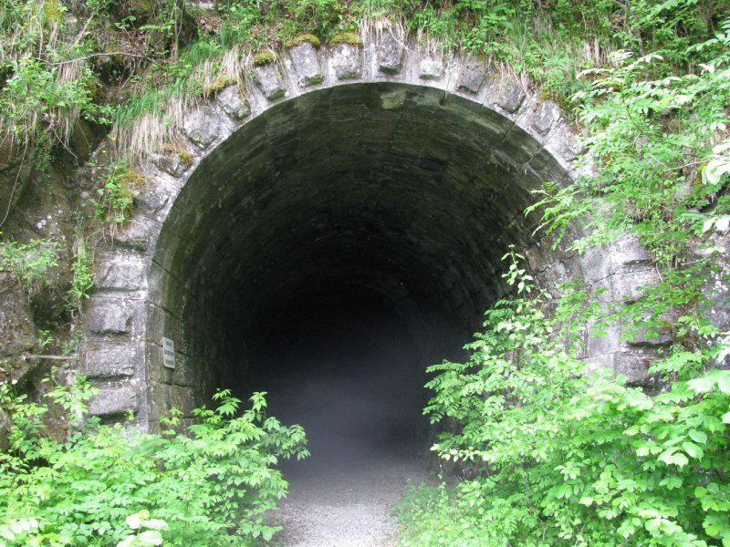 ehemalige Bregenzerwaldbahn, km 12.45 : Nochmals die Ausfahrt (gesehen aus Richtung Bregenz) aus dem Rotachtunnel. Am morgen frh stieg hier tatschlich der Nebel aus dem Tunnel, so richtig unheimlich. Fotografiert in Richtung Bregenz.