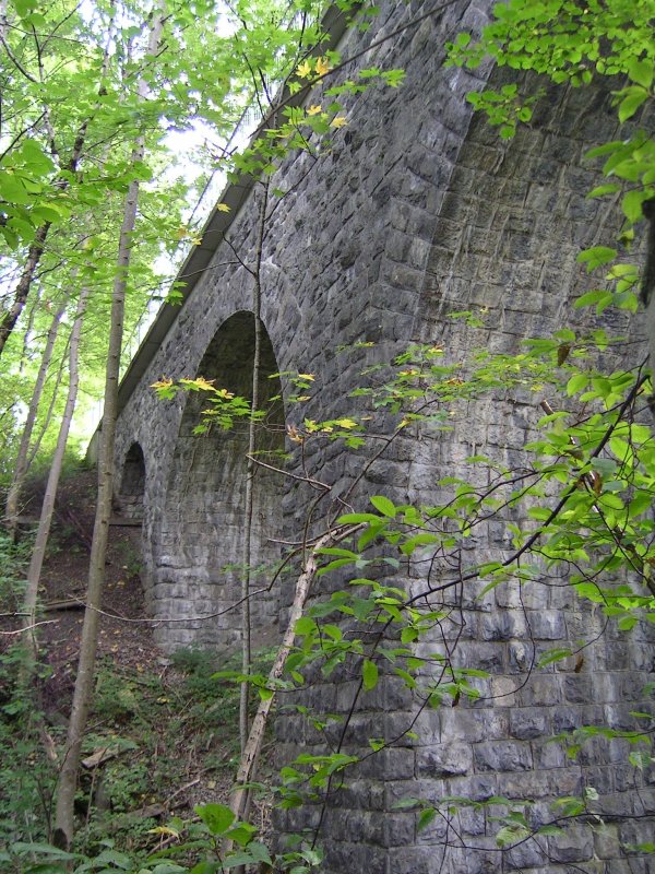 ehemalige Bregenzerwaldbahn, km 25,9. An dieser Stelle befindet sich das Pfisterbachviadukt, das nach wie vor in einem perfekten Zustand ist. Dies ist mein zweites Bild, das die ernormen Ausmae dokumentieren soll.