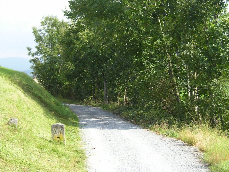 Ehemalige Bregenzerwaldbahn, km 27,7. An dieser Stelle steht noch ein einsamer Kilometerstein. Hier ist die Bahntrasse nicht mehr geteert. An manchen Stellen findet man hier noch den Original Bahnschotter, der einfach mit feinerem Material zugewalzt wurde.