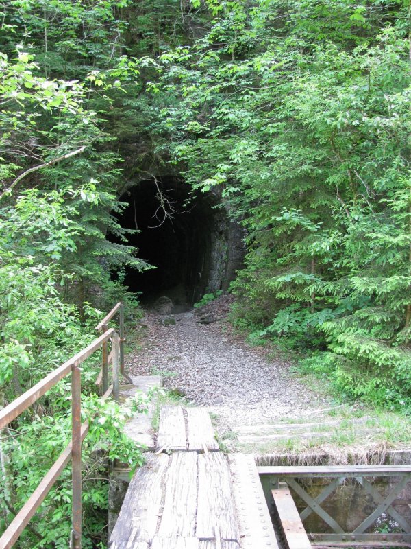 ehemalige Bregenzerwaldbahn, km 9,2 : Das ist die Ausfahrt aus dem Rickenbachtunnel (in Richtung Bregenz gesehen). Hier ist alles extrem verwachen, der Tunnel ist aber begehbar und  nur  86 m lang.