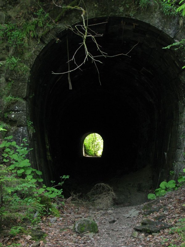 ehemalige Bregenzerwaldbahn, km 9.2. Ausfahrt aus dem Rickenbachtunnel, gesehen in Richtung Bregenz. Fr dieses Foto bin ich an den Eingang etwas dichter herangetreten. Wie man an dem Bild erkennen kann, ist der Tunnel ziemlich kurz und gerade, er hat eine Lnge von 86 m. Der Tunnel ist gut begehbar.