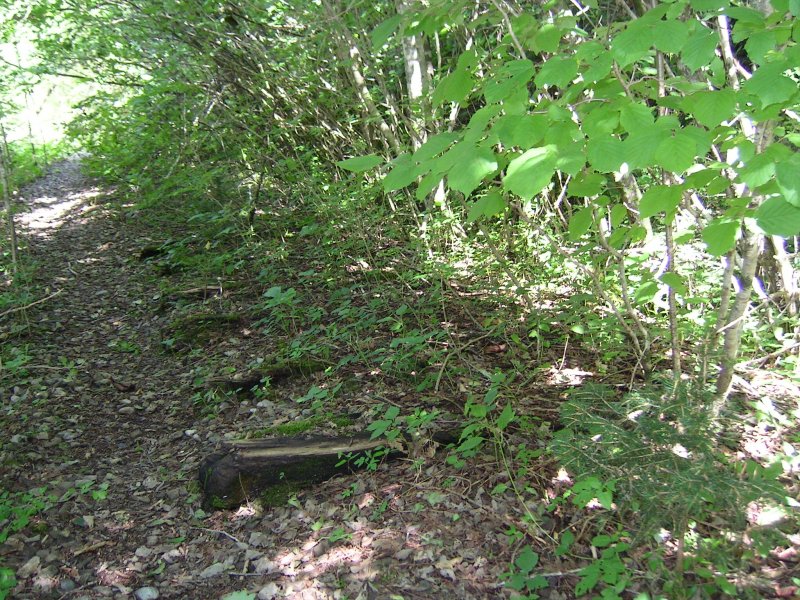 ehemalige Bregenzerwaldbahn, ziemlich genau bei km 20,4 - 20,6 ist die Trasse schon vor Jahren komplett in die Bregenzerach abgerutscht. Der Wanderweg verluft hier deshalb nicht auf der ehemaligen Trasse, sondern ist in einiger Entfernung gefhrt. 

Deshalb ist die Trasse hier auf ca. 200 m vor dem Abgrund komplett zugewachsen. So wrde die gesamte Trasse ohne den Wanderweg aussehen. Es ist auch die einzige Stelle zumindest zwischen Doren-Sulzberg und Egg, wo noch Schwellen an der Originalstelle liegen. ca. 10 m weiter hinten geht es ca. 30m senkrecht hinab.