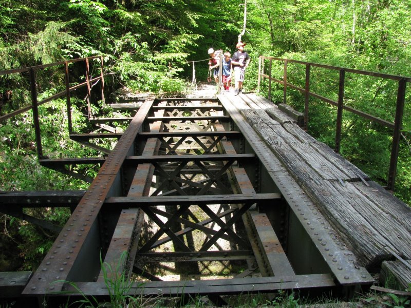 ehemalige Bregenzerwaldbahnstrecke, km 9,2 : Dies sind die Reste der Blechtrgerbrcke nach dem Rickenbachtunnel. Sie ist 9m lang. Das ist die Brcke im gesamten Streckenverlauf, die den schlechtesten Zustand hat. Bild in Richtung Bezau.