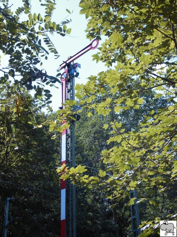 Ehemaliges Form Einfahrtsignal in der Nhe des Coburger Gterbahnhofes. Leider wurden diese zum Jahreswechsel 2007 / 08 abgebaut. Die Aufnahme entstand am 25. August 2007.