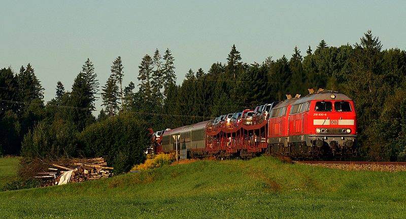 Eher weniger an Personenzgen zu finden ist 218 830. 18.08.08, nahe Hergatz
