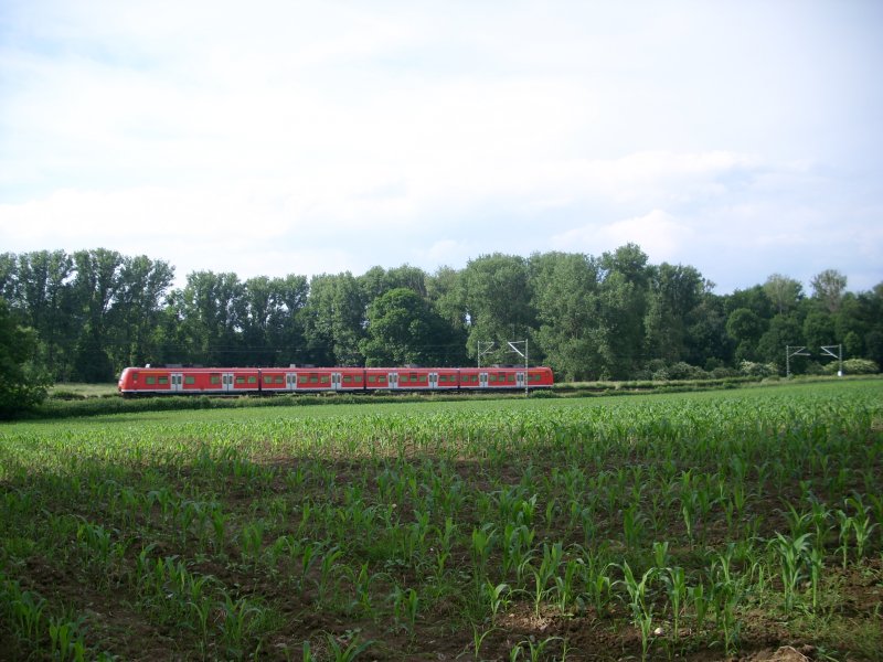 Ein 425er als RB33  Rhein-Niers-Bahn  nach Aachen bei Gut Tichelen