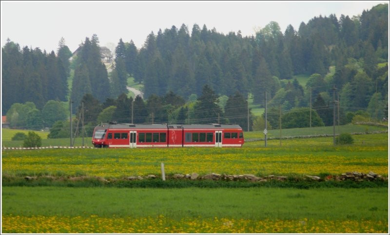 Ein ABe 2/6 nhert sich in typischer Juralandschaft dem Abzweigebahnhof Le Noirmont. (16.05.2009)