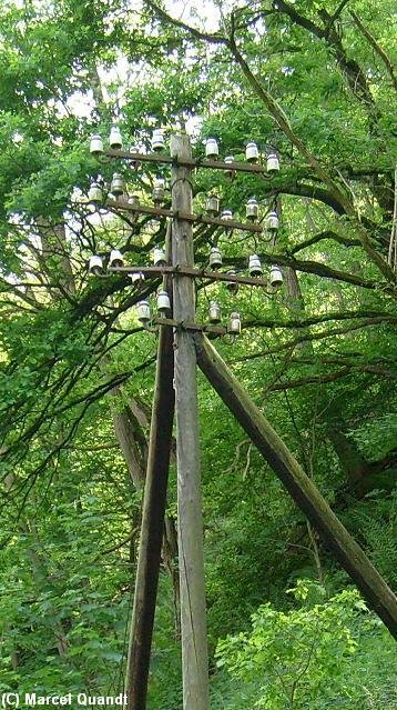 Ein alter Telegrafenmast an der stillgelegten KBS 249 kurz vor dem Bahnhof Wehrden.