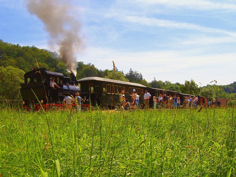 Ein Bild von der Hrtsfeld-Museumsbahn: Die Schmalspur-Tenderlok steht am 01.07.07 mit einem nostalgischen Personenzug im Haltepunkt Sgmhle.