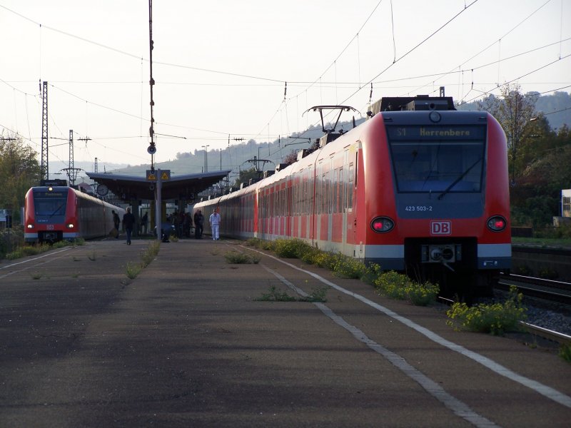 Ein bisschen Natur hat sich auch auf dem S-Bahn-Bahnhof Esslingen-Oberesslingen eingesiedelt. Aufgenommen im Sommer 2007