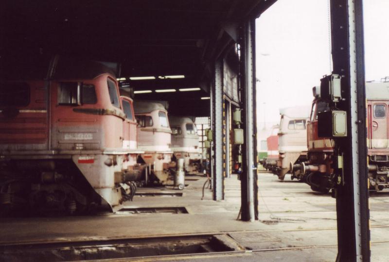 Ein Blick in den Schuppen 2 des Bw Gera 
1996 war der Schuppen noch mal gut gefllt .
Die Maschienen wurden zum verkauf vorbereitet.
