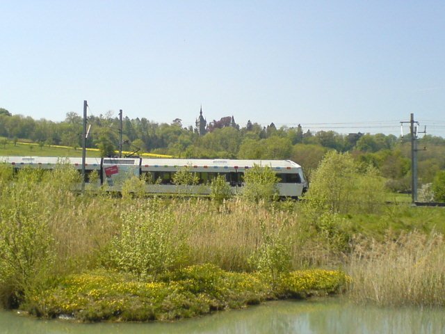 Ein  Bluemechischtli  von Thurbo beim Biotop sdlich des Bahnhofs Tgerwilen Dorf. Dem Zug wurde von Dutzenden Frschen zugejubelt. 