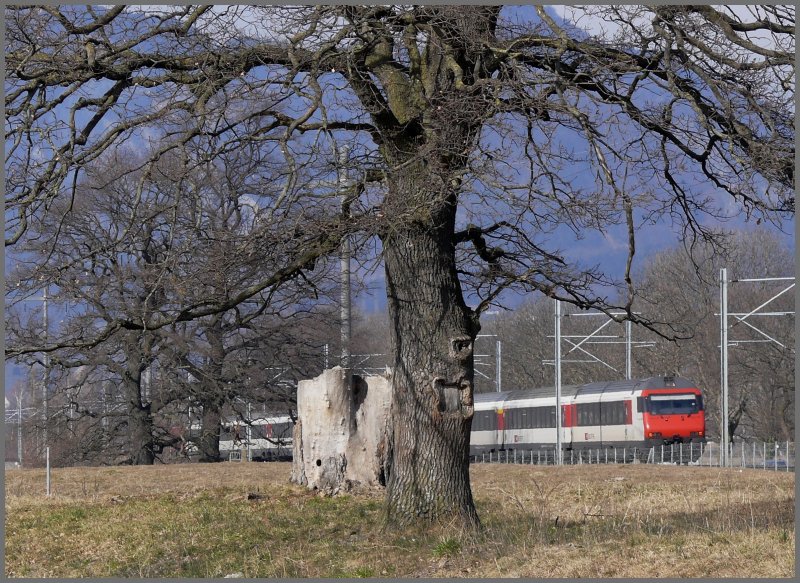 Ein einst�ckiger IR nach Z�rich HB passiert die Rohanschanze bei Landquart. (21.02.2008)