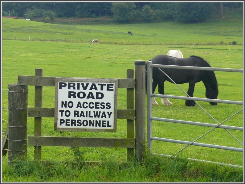 Ein Farmer, der offensichtlich schlechte Erfahrungen mit Eisenbahnpersonal gehabt hat. Fotografiert nrdlich der Forthbridge. (04.08.2008)
