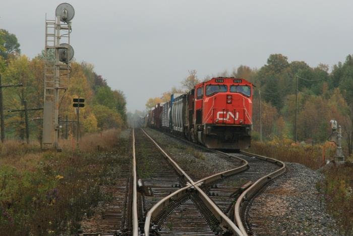 Ein G�terzug der Canadian National wartet auf einem entgegenkommenden Zug bei Brechin ON; 27.09.2008