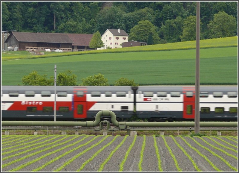 Ein IC-Dosto mit Bistro eilt durch die Frhlingslandschaft bei Trimmis-Untervaz. Die Fernwrmeleitung fhrt entlang der SBB und RhB Geleise von der KVA Trimmis zur Papierfabrik Landquart.
(24.05.2008)