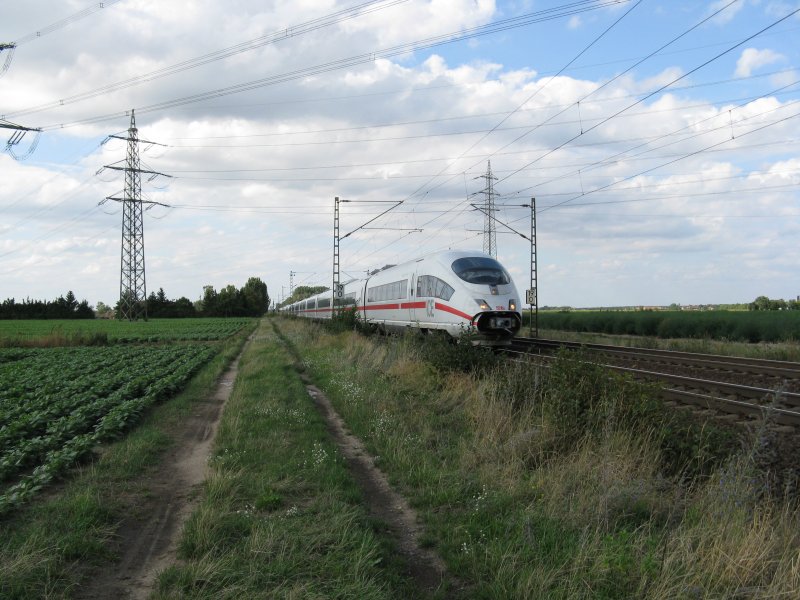 Ein ICE611 von Dortmund Hbf nach M�nchen Hbf.Am 09.08.08 bei der durchfahrt in Lampertheim.