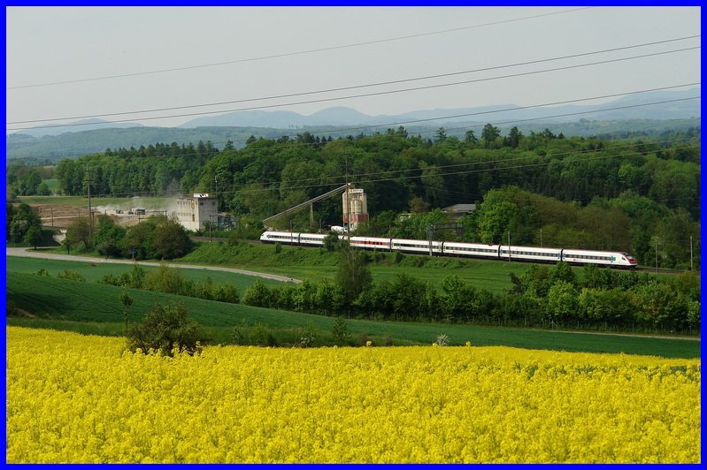 Ein ICN auf der Fahrt nach Basel SBB vorbei an duftenden Rapsfeldern bei Wallbach im Kanton Aargau. 9.5.2008