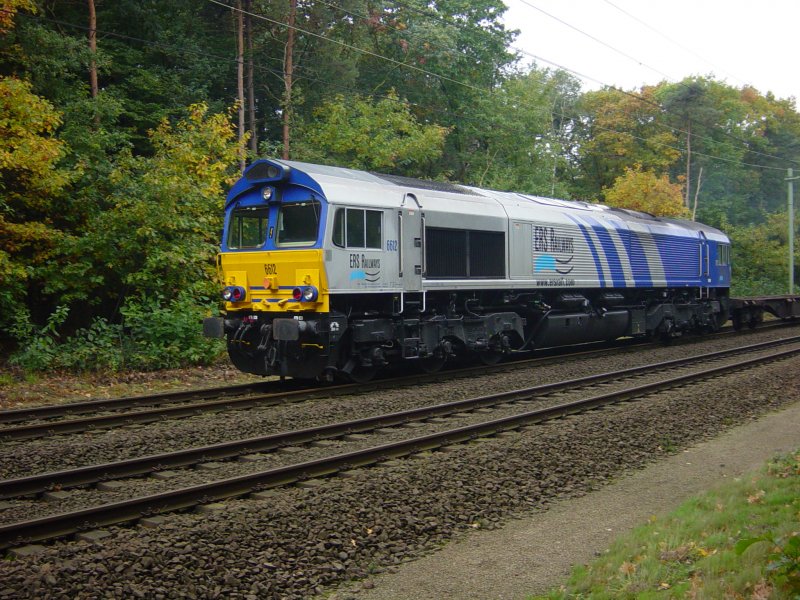 Ein laut brllender Class 66 fhrt durch den Hilversumer Wald mit ein Containerzug. 