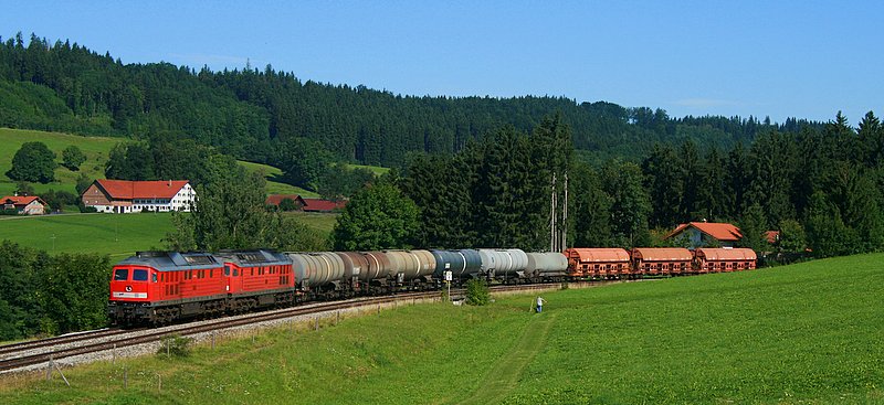 Ein Ludmillaprchen nahe Ellenberg. 18.08.08