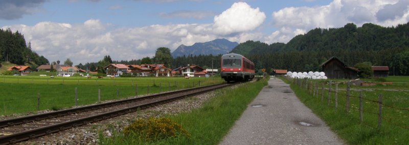 Ein  oanser  vorm Grnten bei Langenwang. 
