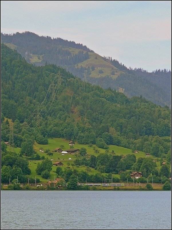 Ein Regio befindet sich auf seiner Fahrt von Interlaken West nach Spiez. Das Foto entstand am 29.07.08 whrend einer Schifffahrt auf dem Thuner See. (Jeanny)