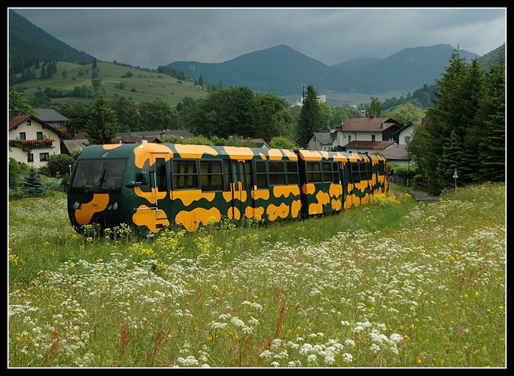 Ein Salamander der Schneebergbahn kurz nach Puchberg am Schneeberg Richtung Schneeberg, am 10.6.2006.
