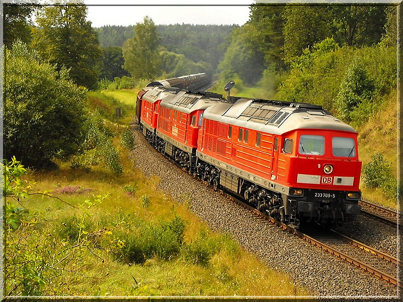 Ein schnes Trio mit 233-709 an der Spitze.
Auf jeden Fall ein Anblick den man nicht alle Tage hat.:-)(17.08.2009)